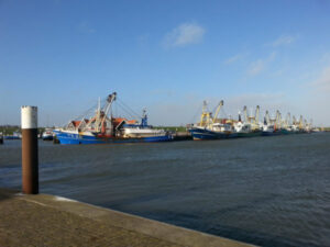 Texel-vakantiehuisje huren De Krim Texel haven